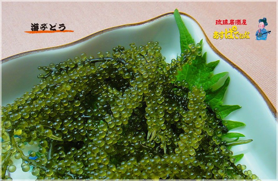 海ぶどう